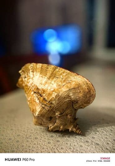 deniz ucun cetirler: Fiqur — 2