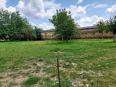 rayonlara: 10 sot, Tikinti, Kupça (Çıxarış) — 8