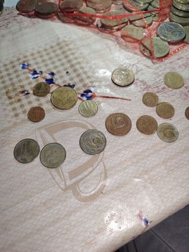 dt ultra sport: Digər aksesuarlar — 3