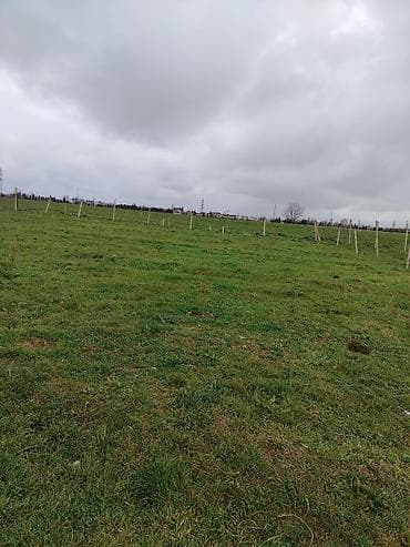 biləcəri torpaq: 8 sot, Tikinti, Mülkiyyətçi, Kupça (Çıxarış) — 2