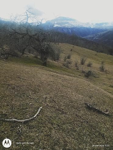 turkanda heyet evleri 2020: Kənd təsərrüfatı — 9