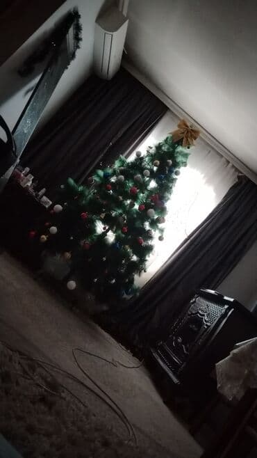101 qizil gül qiymeti: Yeni il yolkası – 2.10 m hündürlükdə, şam ağacı tipli. - İşıqlar və — 5