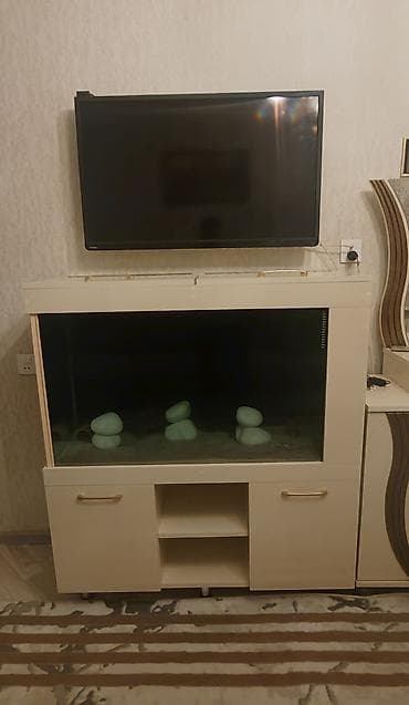 ev heyvanlari: Akvaryum gizli samp ile, vitrinli şkaf dəsti - Geniş ön şüşəli — 1