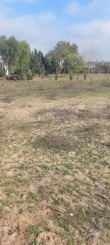 koroğlu: 24 sot, Tikinti — 4