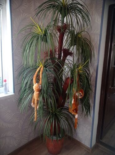 süni ağac: Böyük dekorativ süni palma ağacı - Realistik görünüşlü, uzun və sıx — 1