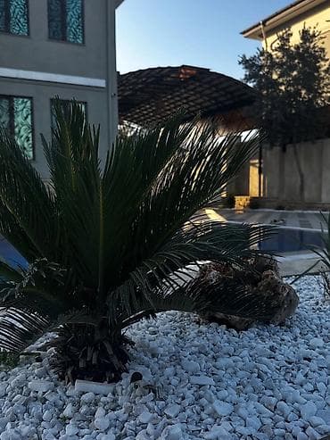 аренда земельных участков сельскохозяйственного назначения: Novxani baglari.isdi hovuzlu sexsi ev kiraye verilir.gunluk.Evde her — 6