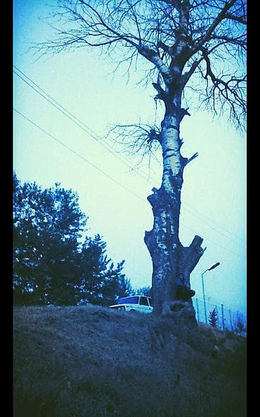 Təmizlik xidmətləri: Menali ve maraqli shekillerin chekilmesi ve hazirlanmasi.Taninmish — 6