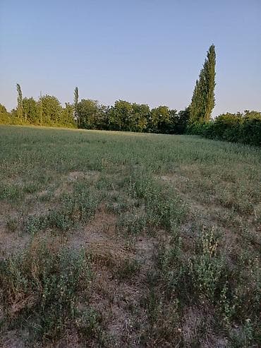 1 sot nece kvadrat metrdir: 80 sot, Biznes üçün, Mülkiyyətçi, Kupça (Çıxarış) — 2