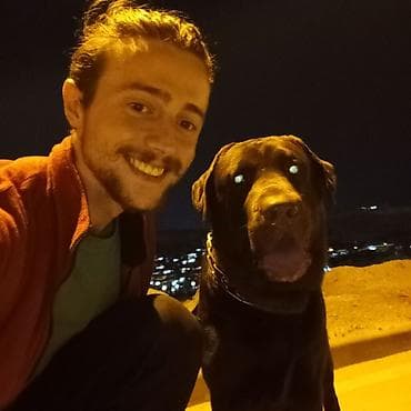 ata sigorta: 🐾 DOGGIES_X WALKING • BAKU Последние 5 лет собаки — часть моей жизни — 8