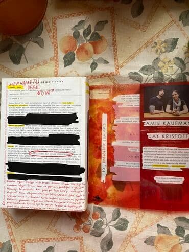 çizgi roman: "Illuminae Dosyaları_01" kitabını oxuyun. Amie Kaufman və Jay Kristoff — 4