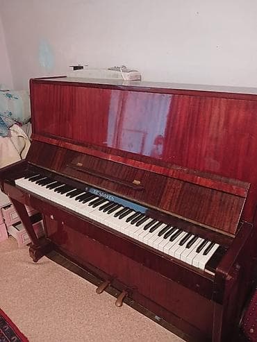 Piano, Belarus, Akustik