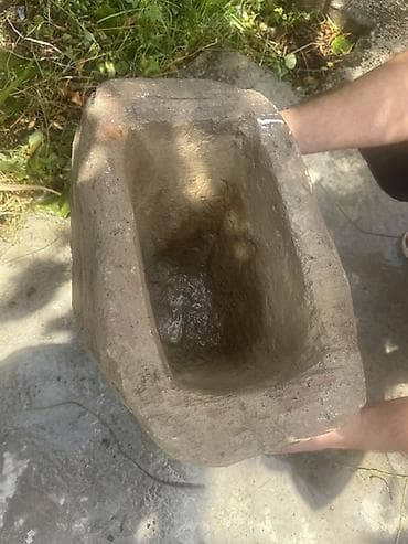 bitki guli: 30 ilden coxdur bizdedir islekdir — 2