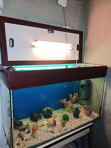 kreditle it satisi: Dördbucaq akvarium, Boş, 300 l — 8