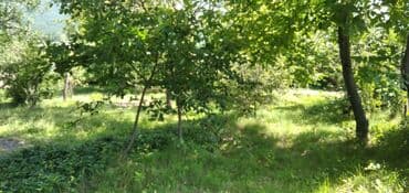 объявления о продаже земельных участков: 10 соток, Для строительства, Собственник, Купчая — 18