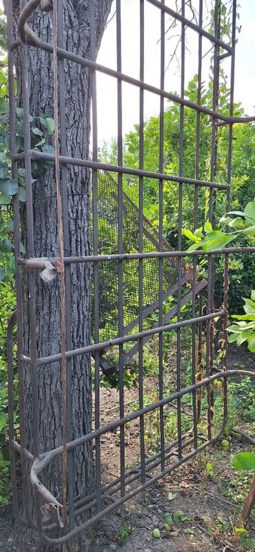 Ford Tranzit, Ünvandan götürmə