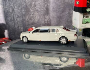 metbex tavan modelleri: Коллекционная модель Aurus Senat limousine Russia Vladimir Putin 2018 — 22