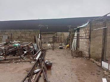 Куплю дом: Salam Alekum Binə Atçiliq qəsəbəsində 10 sot həyəti olan 3 otaqli — 5