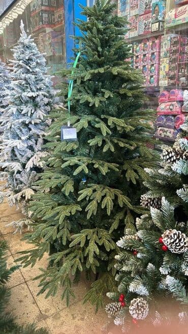 YENI IL YOLKALARI HƏR ÇÜR ÇEŞİDLƏR VAR kreditle tək şəxsiyyət