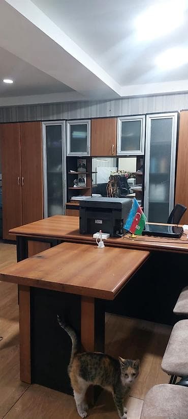 kiray: Ofis öz obyektimdir 50 kv bir zal 35 kv 15 kv köməkçi mətbəx sanuzel — 2