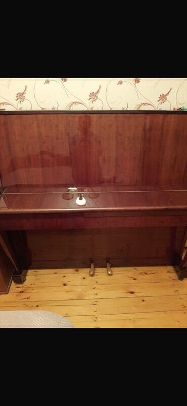 Gitaralar: Piano, Belarus, Akustik, İşlənmiş, Ünvandan götürmə — 1