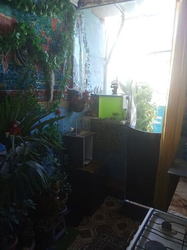 kirayə binə: 46 kv. m, 2 otaqlı, İnternet, Qaz, İşıq — 8