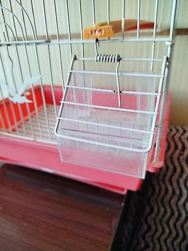 qefes boyuk: Qırmızı-ağ quş qəfəsi - Material: metal barmaqlıqlar, plastik altlıq — 7