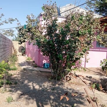 yaşıl dərə həyət evləri: 1 otaqlı həyət evi – bağ sahəsi ilə - Giriş: Həyətyanı sahəyə açılan — 14