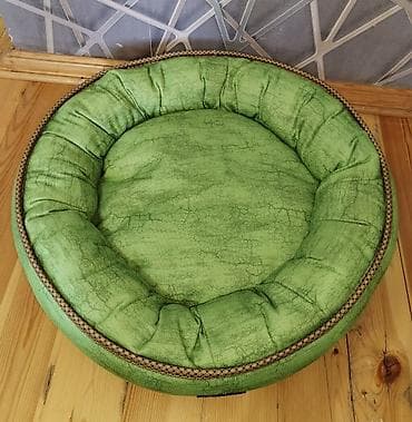 pitbul satilir: Bizim itimizə balaca olduğu üçün satılır — 4