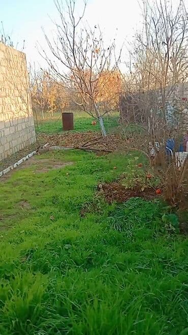 qobuda torpaq satilir 2020: 6 sot, Kənd təsərrüfatı, Makler, Kupça (Çıxarış) — 4