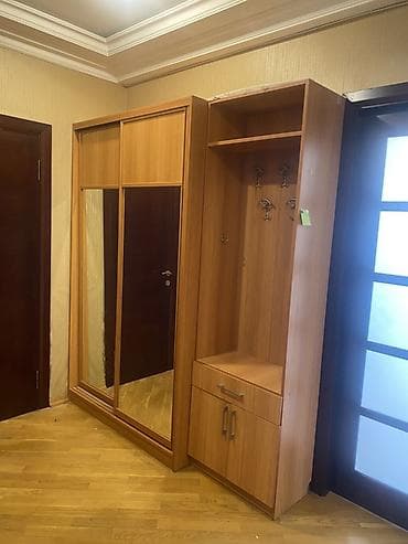 şefoner: İşlənmiş, 2 qapılı, Güzgülü, Digər rəng, Digər material, Kupe, Düz dolab — 1