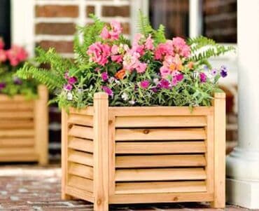 meyve agaci: Dibçək sexi. 📍Ünvan : Qala #Dibçək #Dibçək #Güldan #Güldan #Agac — 1