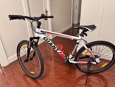 mini velosiped: Giant Rincon dağ velosipedi - Çərçivə: yüngül alyumini (ALUXX) — 2
