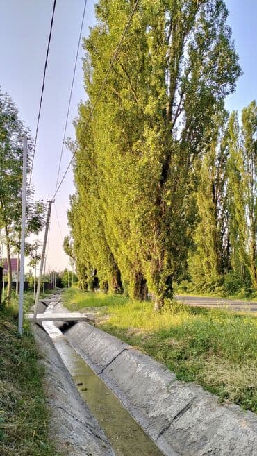 həzi aslanovda kirayə evlər: QUSAR HƏYƏT EVİ | Günlük & Aylıq KİRAYƏ🏡 ~Geniş rahatlığa və — 13