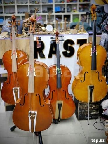 Аккордеоны: Çello cello violençello Rast Musiqi Alətləri Mağazası Unvanlarimiz; — 1