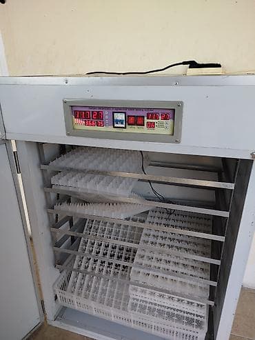 Konteynerlər: Tam avtomat — 5