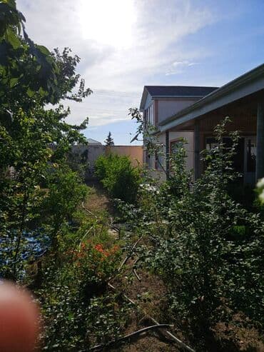 xətai kirayə: 300 kv. m, 5 otaqlı, Qaz, İşıq, Su — 15