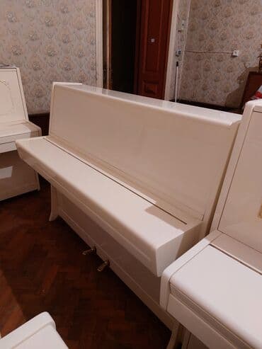 pianinolar: Pianino PETROF Cexiya stehsalı. İdeal vəziyyədə. Cadrılma və köklənmə — 3