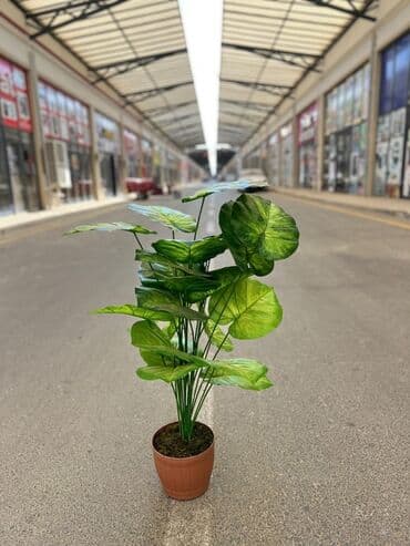 süni ağac: Daxili və xarici məkanlar üçün nəzərdə tutulmuş süni dekorativ ağac — 9