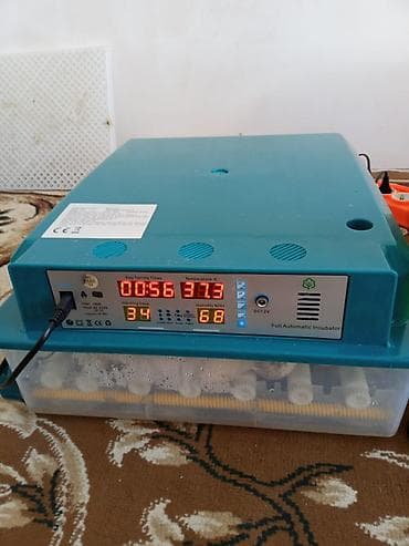 Bu tam avtomatik inkubator yumurtaların inkubasiyası üçün nəzərdə — 3