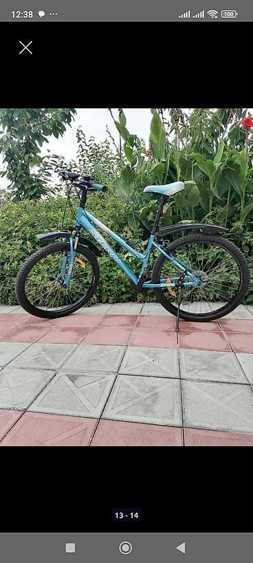 İdman velosipedləri: Stern dağ/şəhər tipli velosiped – 24" təkərlər, 16" ölçülü — 1