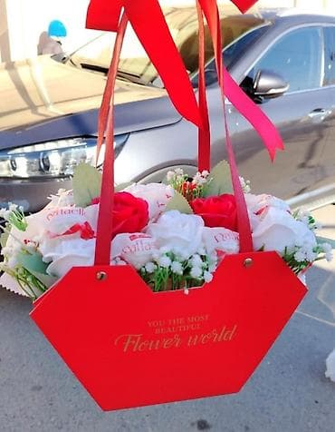 Məktəb çantaları