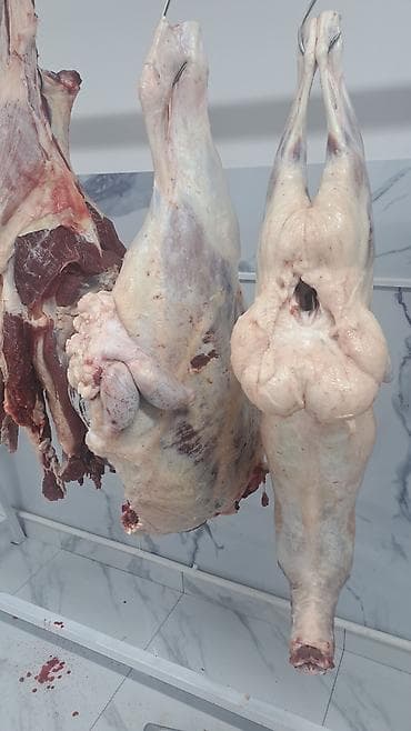 Ət məhsulları: Qoyun və mal ətinin bütöv karkas və müxtəlif kəsimləri Təklif olunan — 1