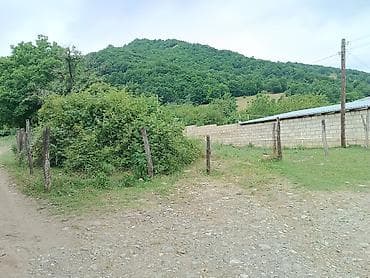3 sot, Tikinti, Mülkiyyətçi, Kupça (Çıxarış) — 2