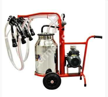 Tək bidon, Türkiyə, Paslanmaz bidon lalafo.az -da Tək bidon, Türkiyə, Paslanmaz bidon