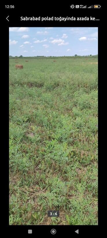 turkanda bag evi: 800 sot, Kənd təsərrüfatı, Kupça (Çıxarış) — 2