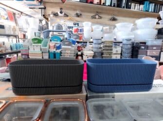 kaybolan yıllar 50: Dibcek Dibcek qabi yumru aq rengli gul.qabi yumru aq rengli dibcek — 15