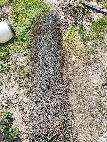 Yaxşı vəziyyətdədir qiymətdə endirim eliyecem