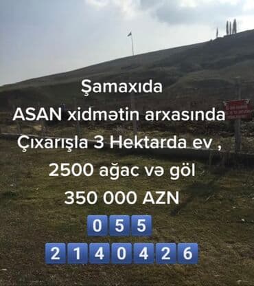 sulutəpə çiçək qəsəbəsi: Biznes üçün, Mülkiyyətçi, Kupça (Çıxarış) — 3