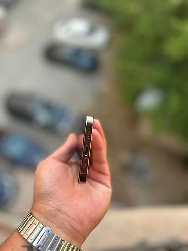 IPhone 16 Pro Max, 256 GB, Gümüşü, Face ID — 5
