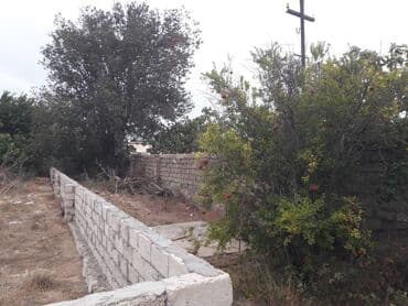 недвижимость в кусарах: 10 sot, Biznes üçün, Mülkiyyətçi, Kupça (Çıxarış) — 7